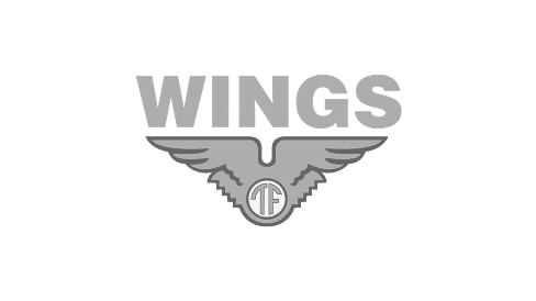 Wings : Brand Short Description Type Here.